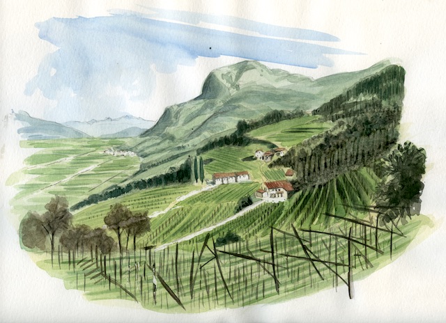 Valle dell'Adige.BZ085